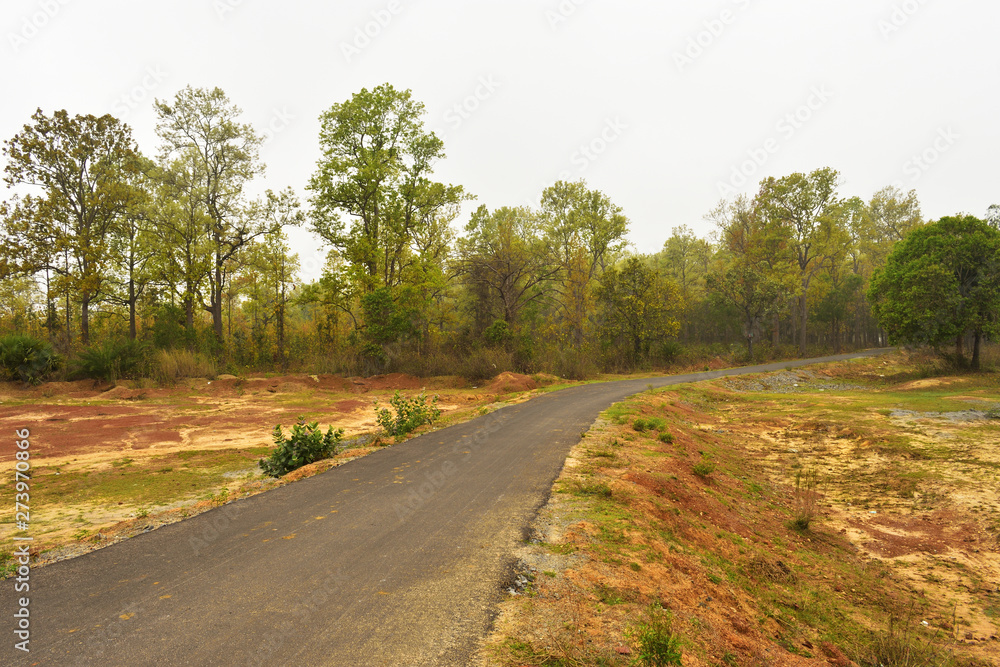 Winding gravel road through temperate forest at Jhargram, west bengal, India
