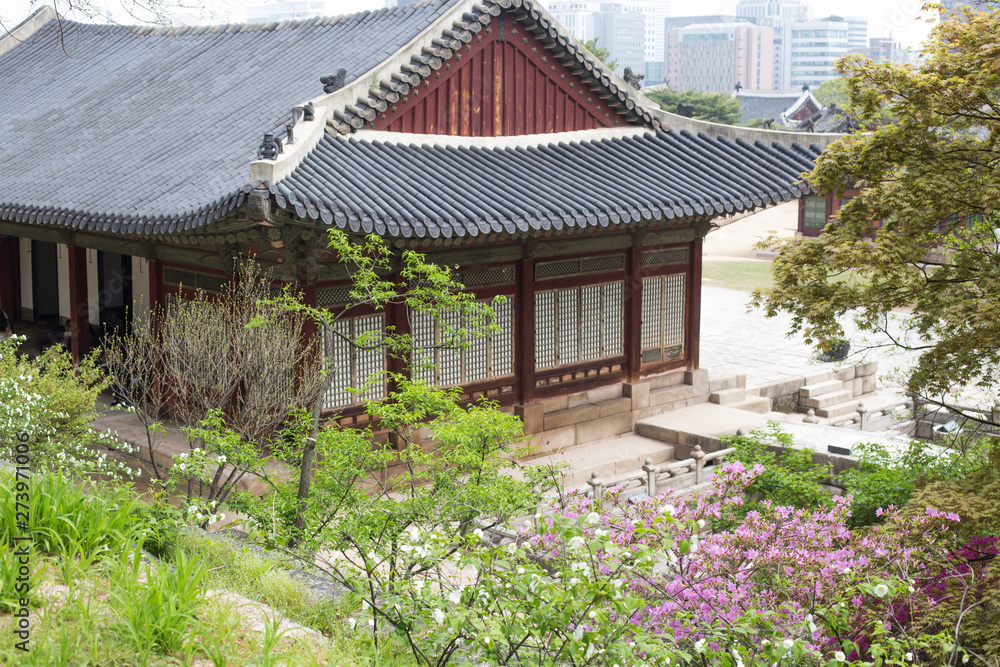 Fototapeta Roof of Korean traditional house and green tree