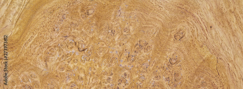 natural burl wood grain texture for banner background