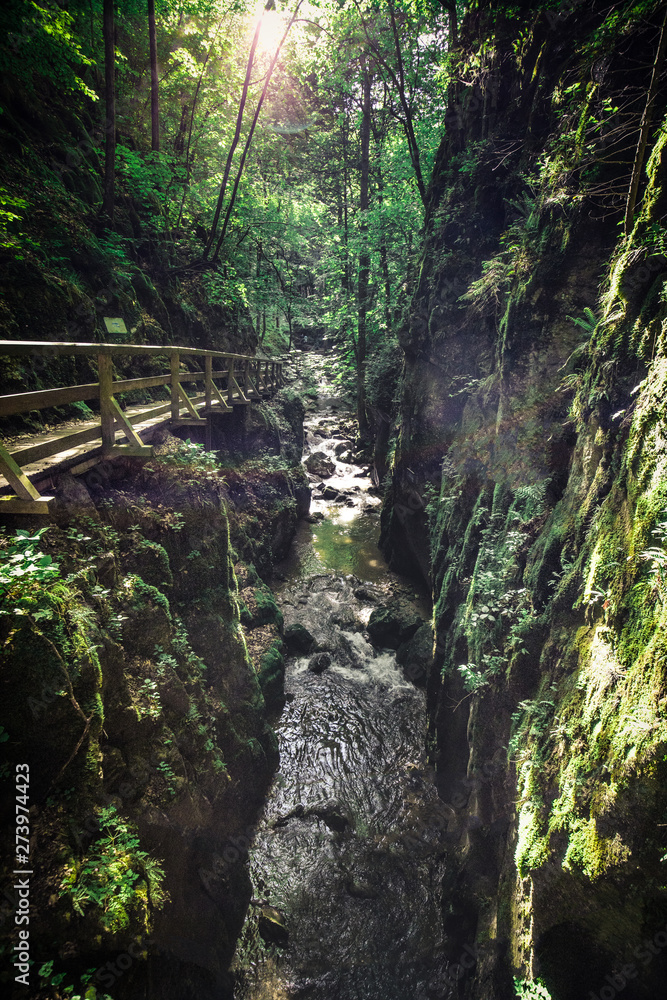 Johannesbachklamm in lower austria in summer Johannesbachklamm in lower austria in summer
