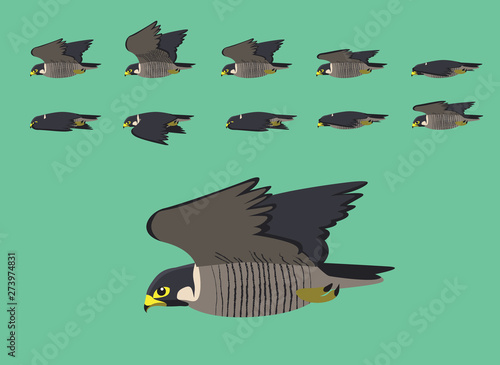 Animation Peregrine Flying Cartoon Vector Illustration
