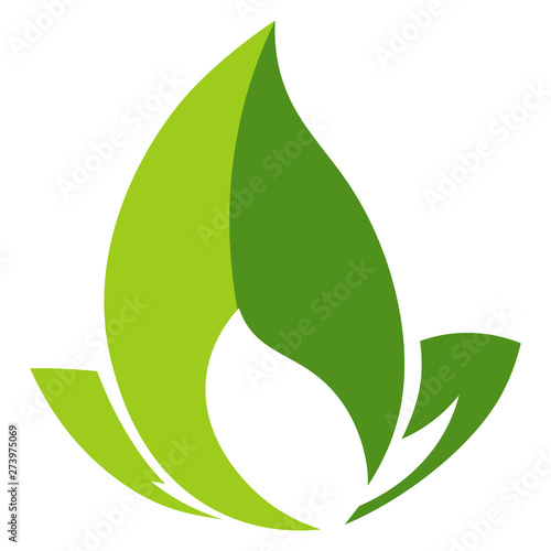 Ecology or environment green leaves isolated corporate identity