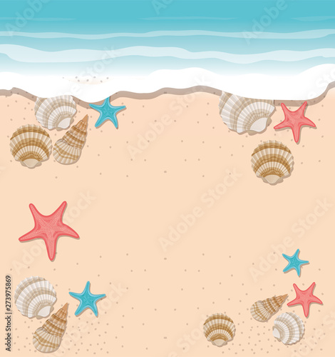 cute seashells on the sea in white background