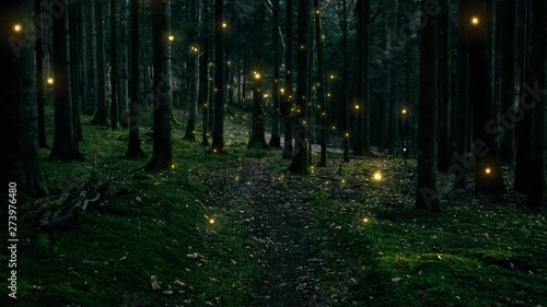 Shiny fireflies in mysterious mossy dark green forest landscape. photo