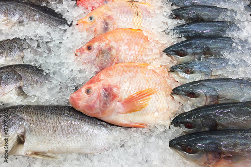 Fresh fish on ice shelf