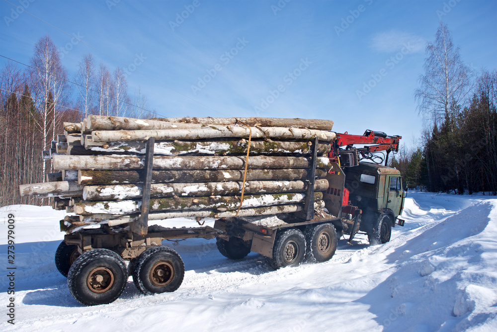 Harvesting of wood in an industrial way Harvesting of wood in an industrial way