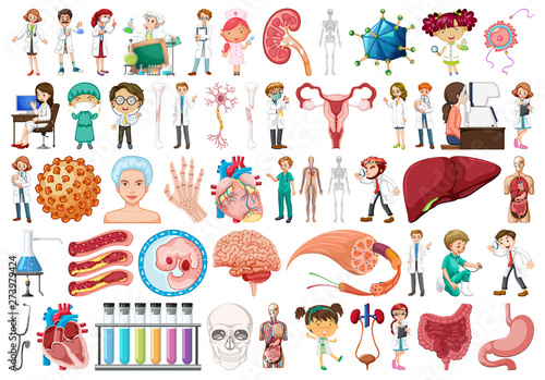 Set of science anatomy