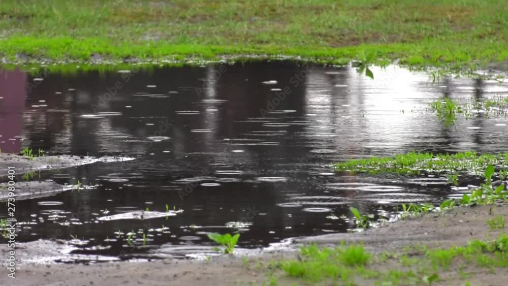 Water rain droplet splashes in puddle on ground. Dark, sad, moody and dramatic background. Water rain droplet splashes in puddle on ground. Dark, sad, moody and dramatic background.