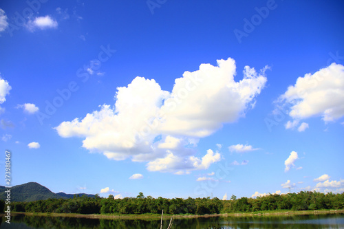 Blue sky and clouds on the lake with branches and trunk of trees. natural background.