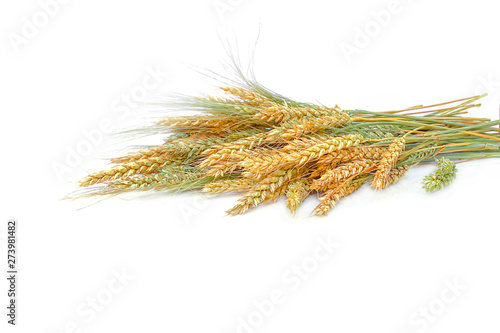 Ears of wheat and rye, bouquet isolated on white background. The concept of a rich harvest or packaging design. Horizontal. Selective focus, close-up.