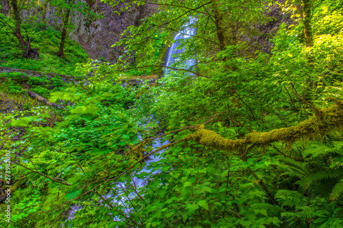 Beautiful Morning Hike to Wahkeena Falls on Columbia Gorge in Portland, Oregon