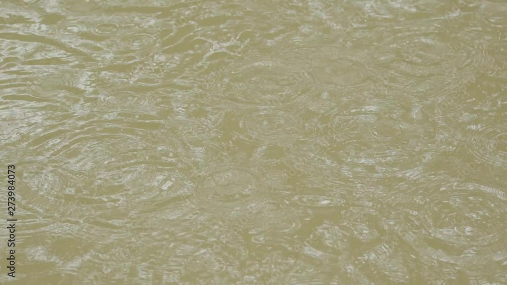 Rain drops falling in collected rainwater pits during monsoon in Himalayas.rain in Himalayas, Himalayan Forest, Uttarakhand,India. Rain drops falling in collected rainwater pits during monsoon in Himalayas.rain in Himalayas, Himalayan Forest, Uttarakhand,India.