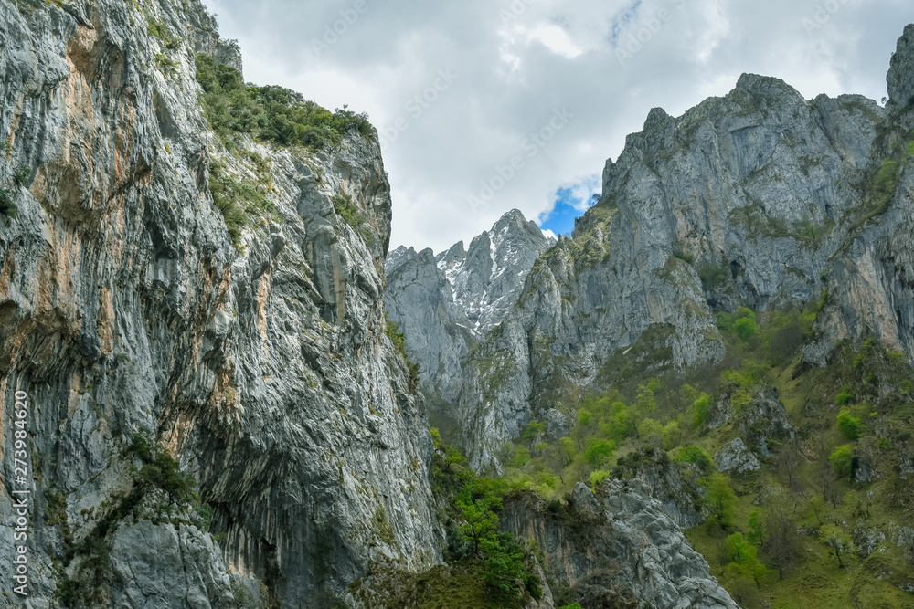 Green mountain landscape in Cares Trekking Route, Asturias