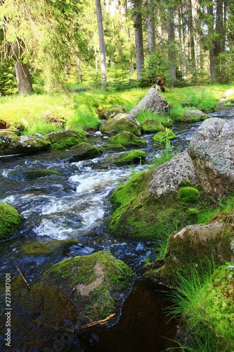 wildbach