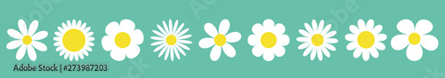 Camomile set line. White daisy chamomile icon. Cute round flower plant collection. Love card symbol. Growing concept. Isolated. Green background. Flat design. photo