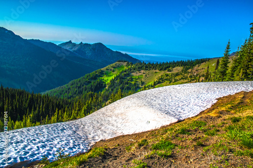 Beautiful Clear Skies Over the Mountain in Olympic National Park, Washington photo