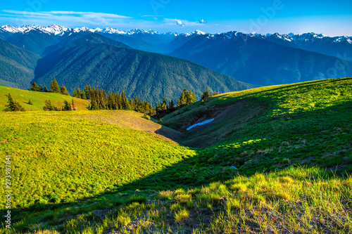 Beautiful Clear Skies Over the Mountain in Olympic National Park, Washington © Jeremy Janus