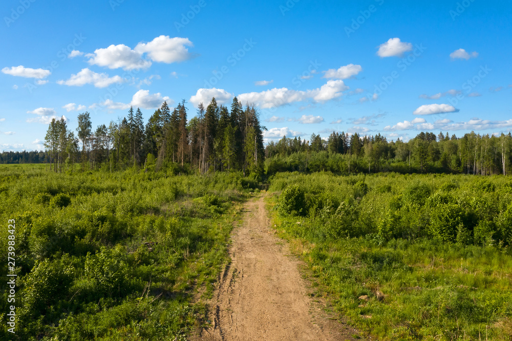 Aerial view of a country road through a field and forest