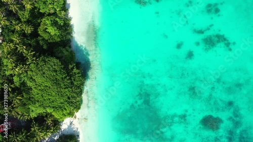 Wallpaper Mural Aerial view, looking down a the shore of a tropical island. A forest of palm trees reaches the turquoise ocean. Caribbean Sea. Slight roll right. Torontodigital.ca