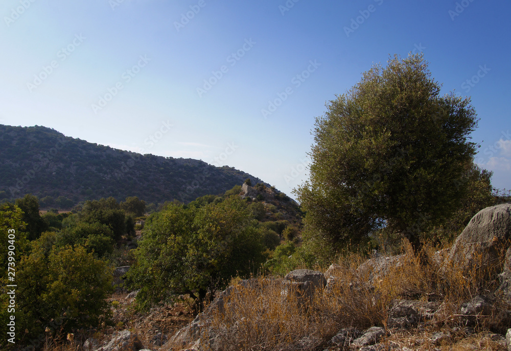 Turkish landscape view of green hills and bushes.