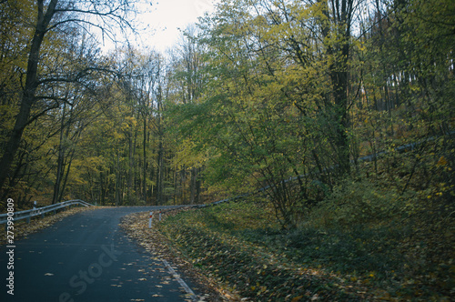 Autumn bike ride with climbing up in the valley covered with golden leaves