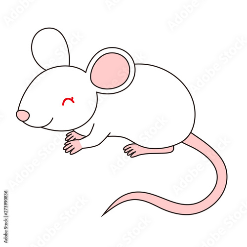                        mouse