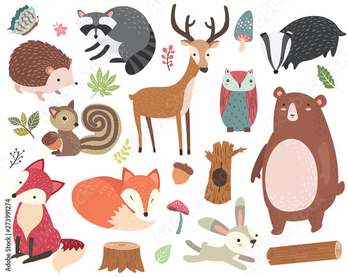 Cute Forest Animal Collections Set