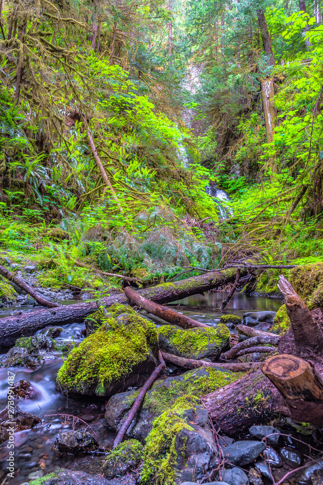 Beautiful Sunset Hike to Marymere Falls in Olympic National Park in Washington Beautiful Sunset Hike to Marymere Falls in Olympic National Park in Washington