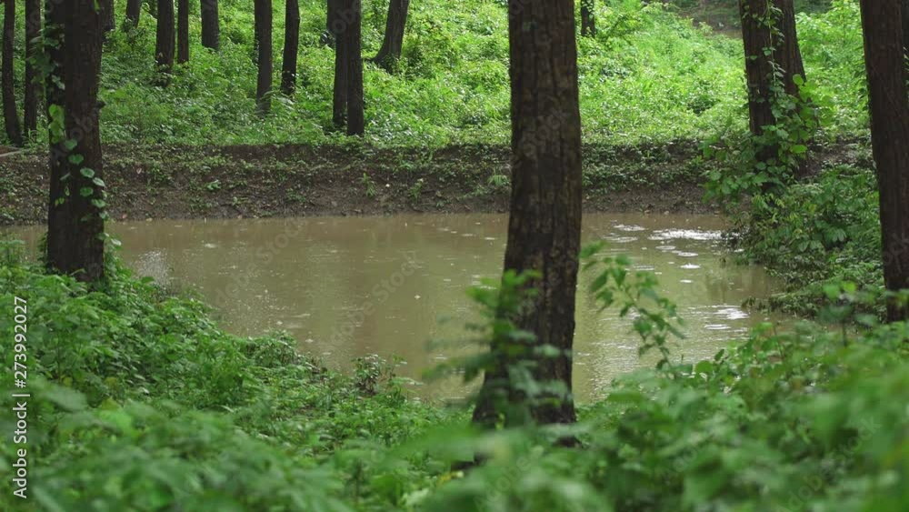 Rain in mountains of Himalayas,Upper Himalayas, Uttarakhand,India. The