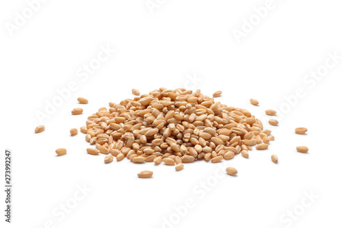 Pile of wheat grains isolated on white background.