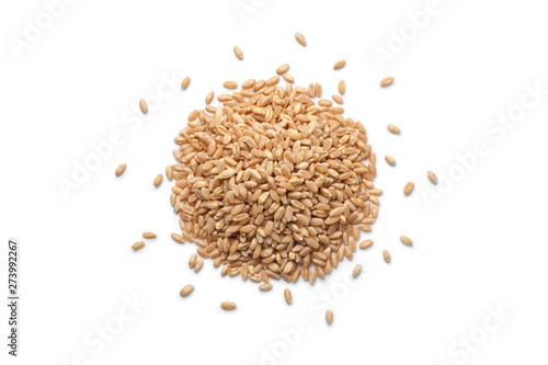 Pile of wheat grains isolated on white background. Top view.