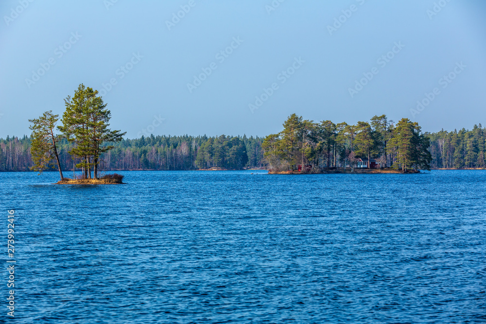Small islands with trees in a lake