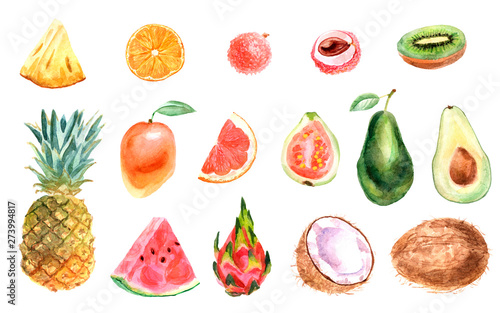 Watercolor tropical set of fruits on a white background © Елизавета Порошина