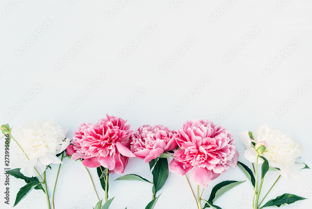 Obraz premium Frame of flowers peonies