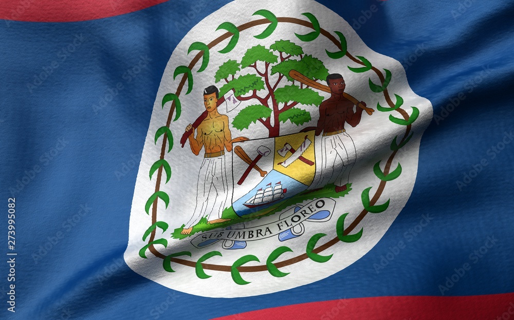 3D Illustration of Belize Flag