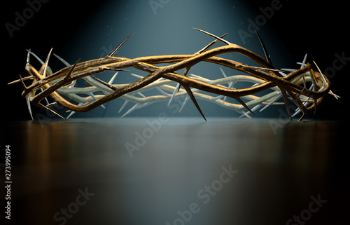 Crown Of Thorns photo