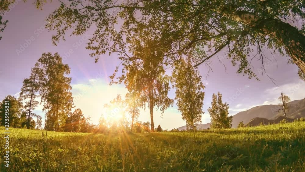 Mountain meadow time-lapse at the summer or autumn time. Wild nature and rural field. Motorised slider dolly movement. Mountain meadow time-lapse at the summer or autumn time. Wild nature and rural field. Motorised slider dolly movement.
