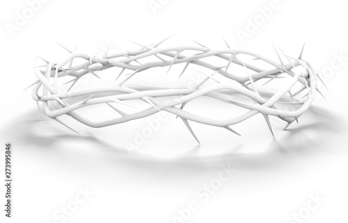 Foto Crown Of Thorns White