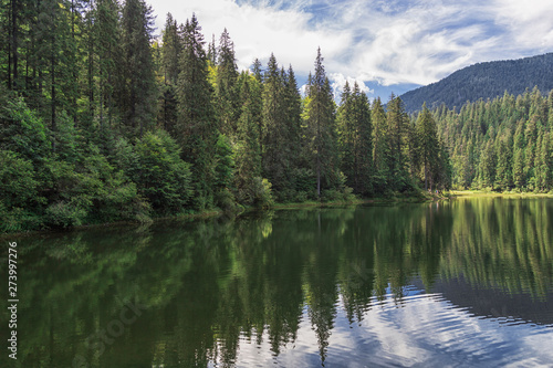 Fototapeta Naklejka Na Ścianę i Meble -  Lake Synevyr in Carpathian mountains, Ukraine. Beautiful mountain lake surrounded by dense green forest on blue sky and white clouds background. Reflection in the clean water
