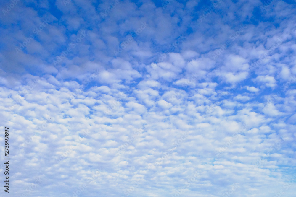 Blue sky with white, soft clouds for summer. Beautiful air cloud in the blue nature landscape background or texture. Clearing day and Good weather in the morning. Day concept.