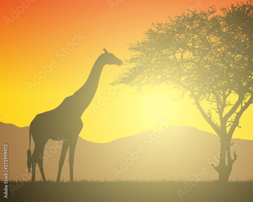 Realistic illustration of African landscape with safari  trees and giraffe under orange sky with rising sun. Mountains on the background  vector