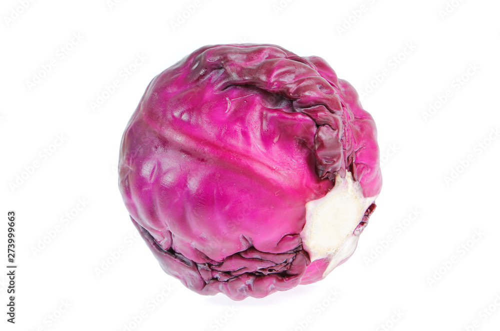 red cabbage isolated on whited background red cabbage isolated on whited background