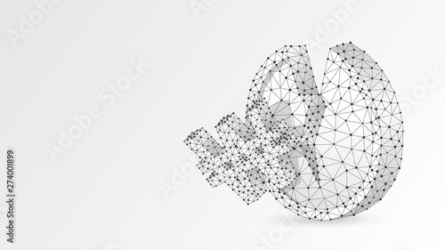 Broken Coin, South Korean Won currency. Money, unstable finance, market crash, broken circle concept. Abstract, digital, wireframe low poly mesh vector white origami 3d illustration. Triangle line dot