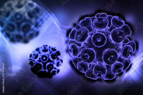 3d rendered Human Papillomavirus isolated on color background photo