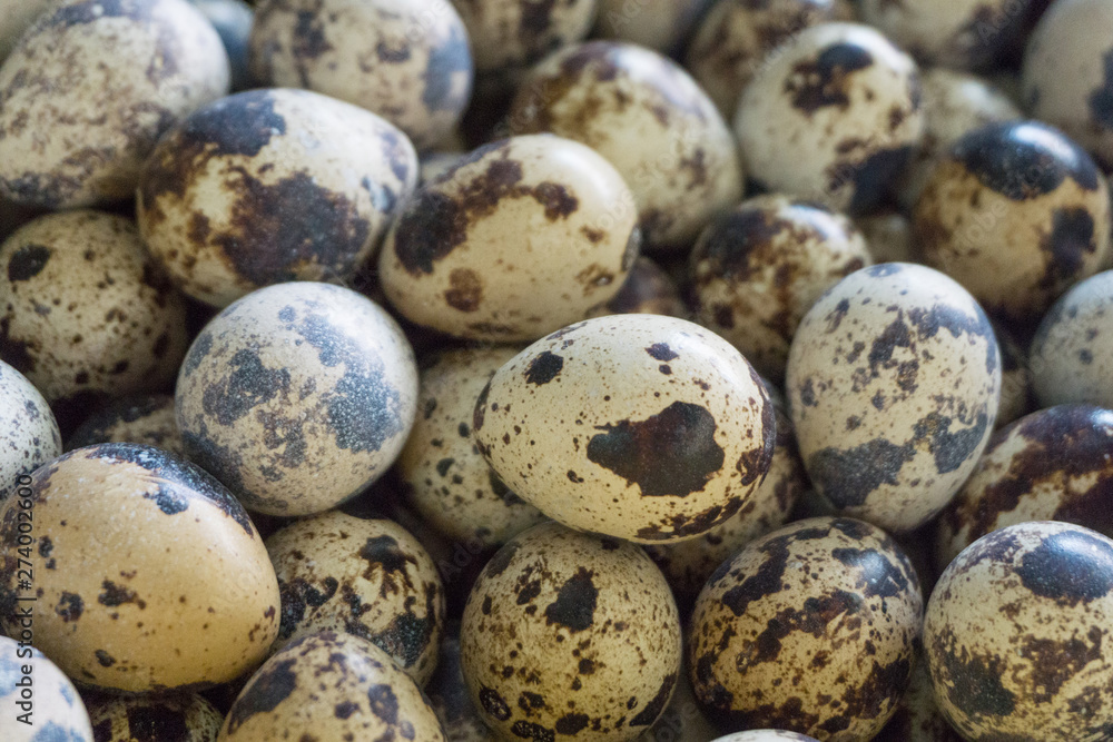 Quail eggs in basket at fresh market for raw cooking,high protein,breakfast Quail eggs in basket at fresh market for raw cooking,high protein,breakfast