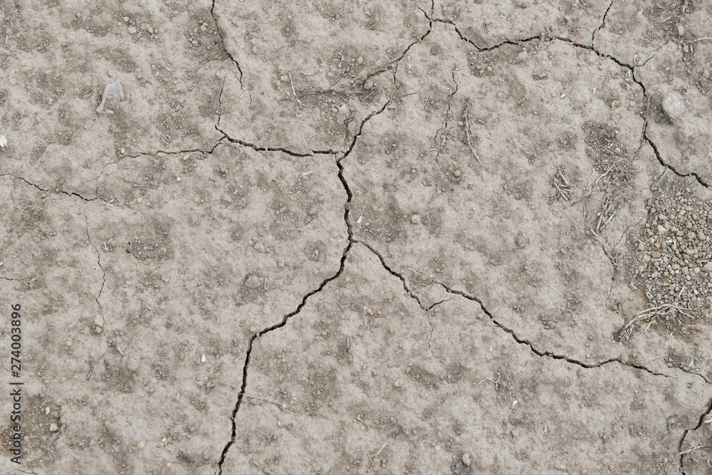 Obraz premium ひび割れ