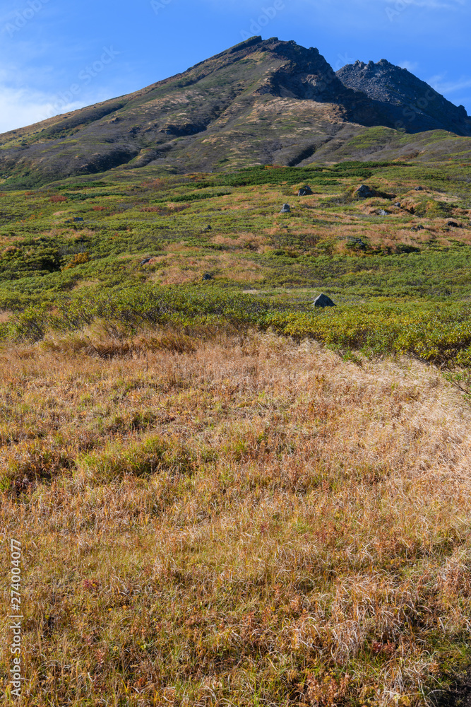 Obraz premium 康新道から見た初秋の鳥海山