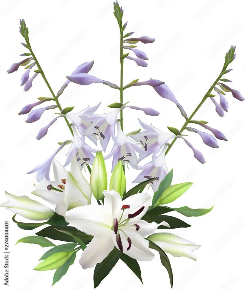 bunch from lilac and pure white lilies