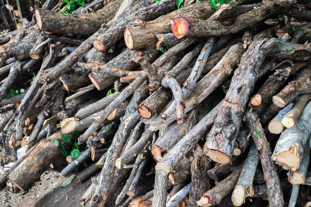 Woodpile or firewood (Pile of wood or stack of wood) from using the pruning saw of the overgrown tree Woodpile or firewood (Pile of wood or stack of wood) from using the pruning saw of the overgrown tree