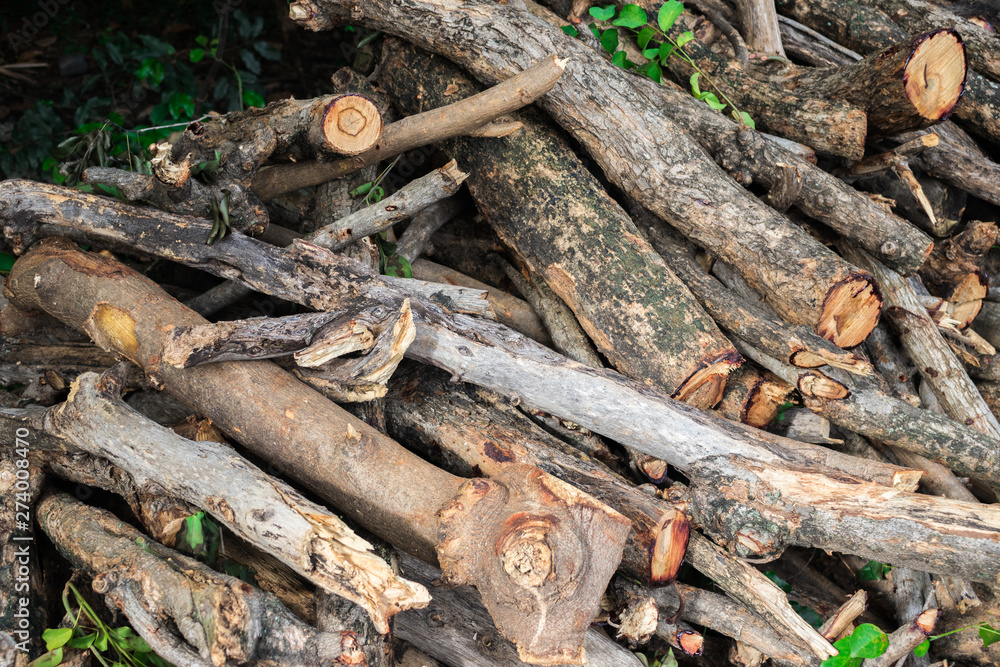 Woodpile or firewood (Pile of wood or stack of wood) from using the pruning saw of the overgrown tree Woodpile or firewood (Pile of wood or stack of wood) from using the pruning saw of the overgrown tree
